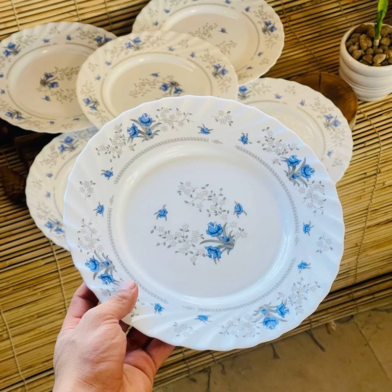 بشقاب پیش دستی آرکوپال پارس اپال رمانتیک کد 120 6 عددی