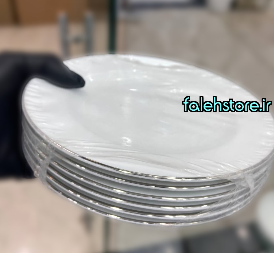 بشقاب پیش دستی چینی زرین گرد لب نقره 6 عددی