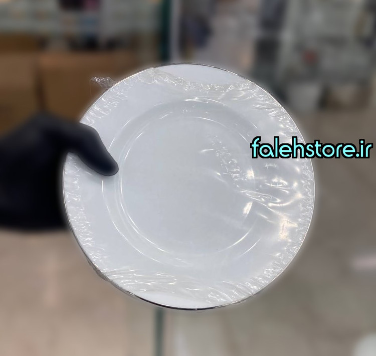 بشقاب پیش دستی چینی زرین گرد لب نقره 6 عددی