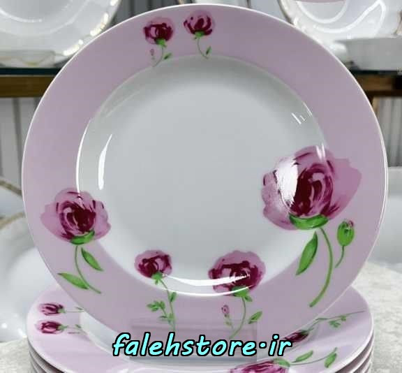 بشقاب پیش دستی چینی زرین پینک رز 6 عددی